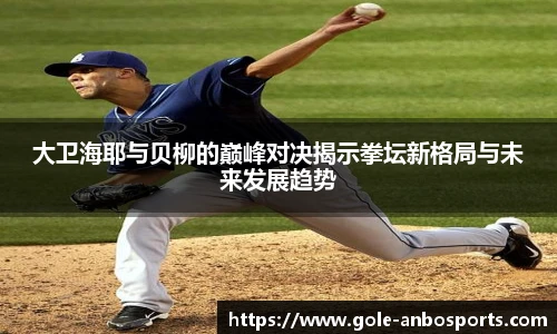 大卫海耶与贝柳的巅峰对决揭示拳坛新格局与未来发展趋势